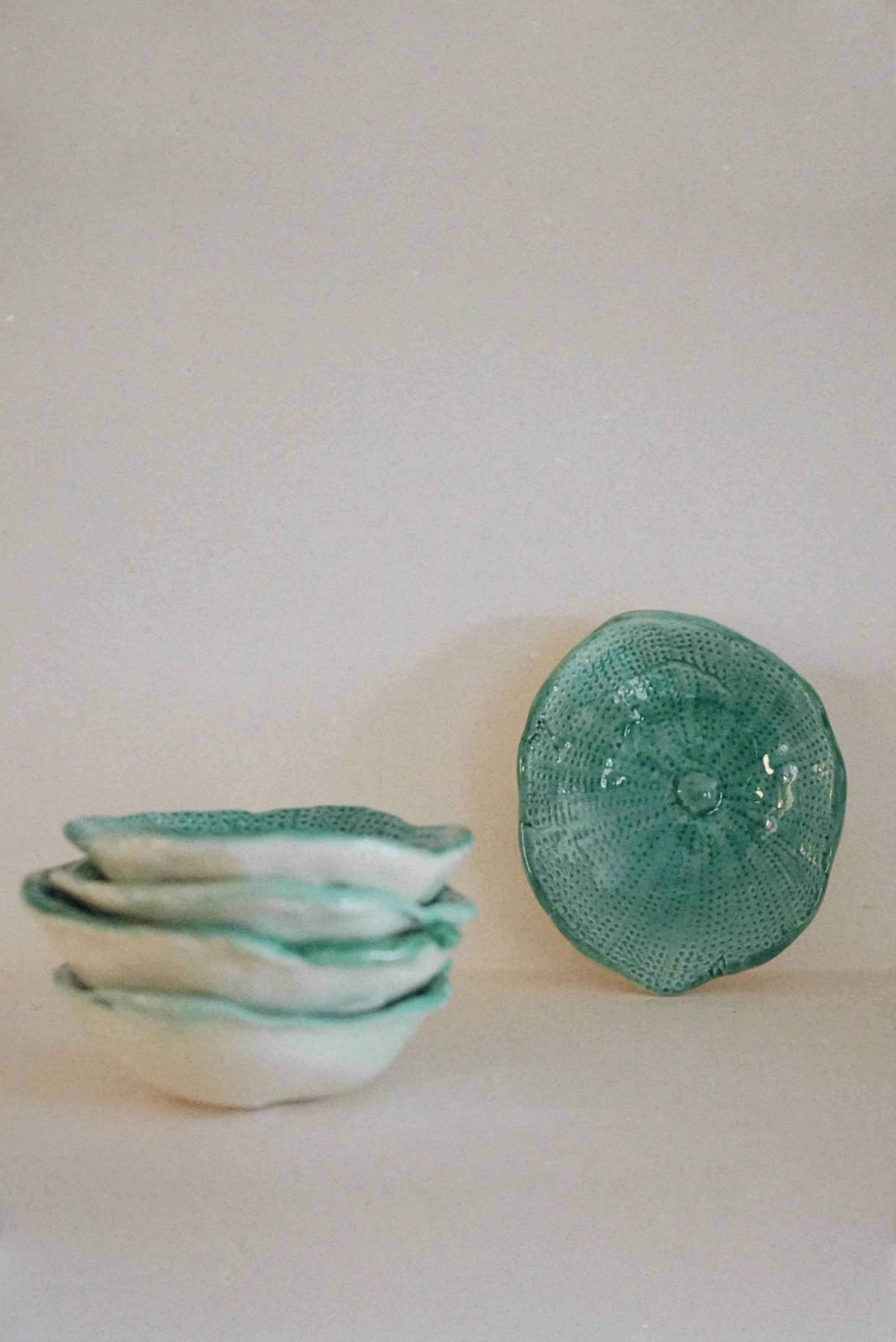 Sea Urchin Tray