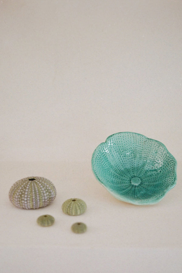 Sea Urchin Tray